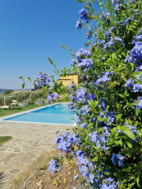 Fattoria di Maiano Fiesole